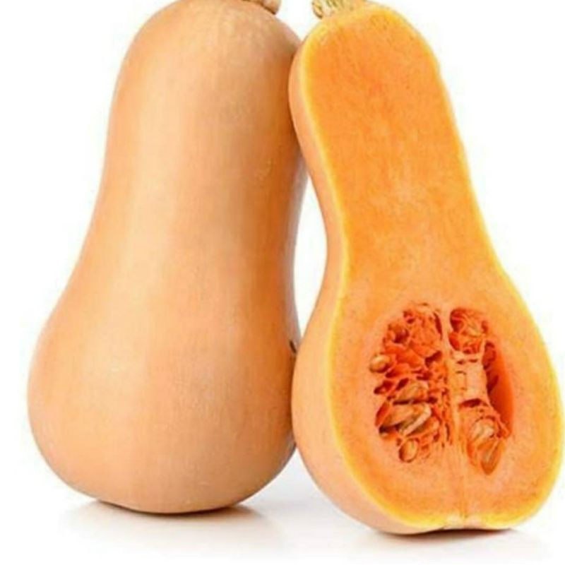 

Butternut Pumpkin Exotic