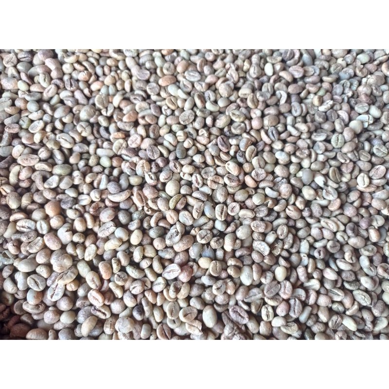 

kopi robusta