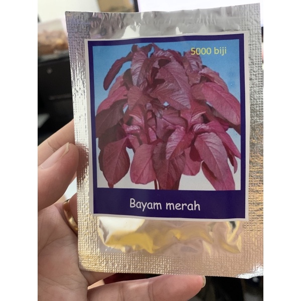 Benih bayam merah isi 5000 biji