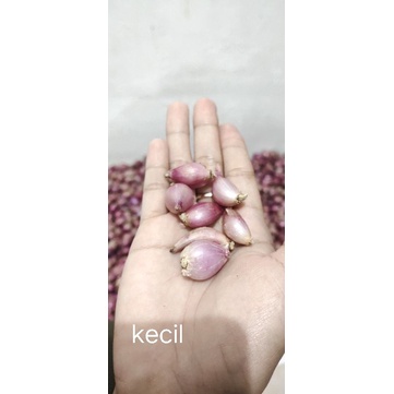 

bawang merah