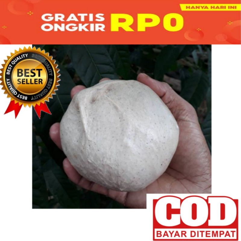 lem pulut pikat burung siap pakai 200gr