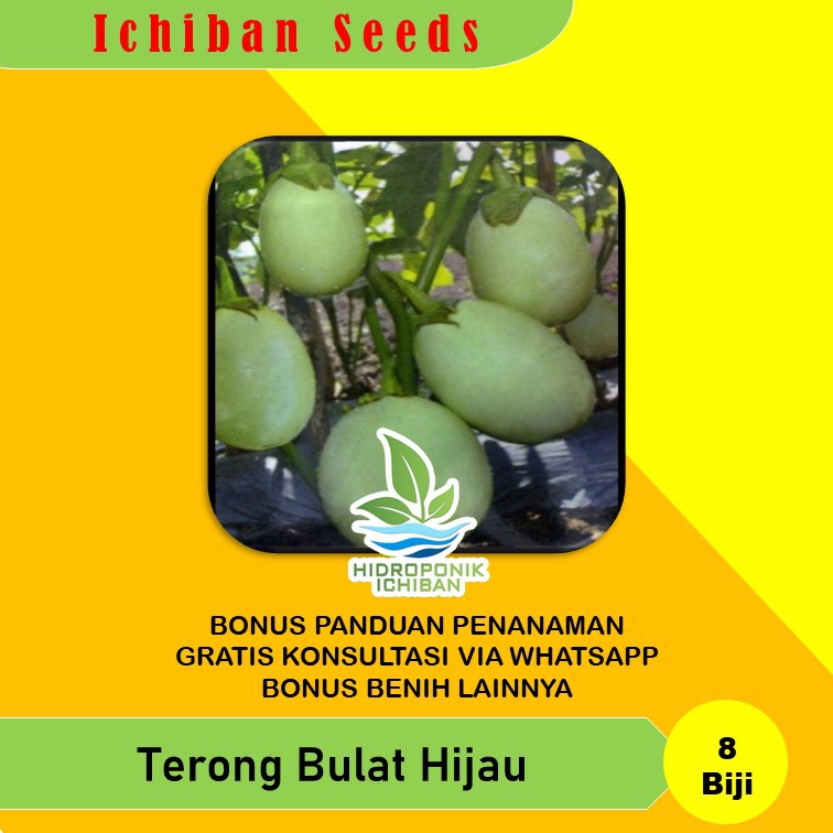 Benih Bibit Biji TERONG AGRISA BULAT HIJAU Kemasan Seribuan