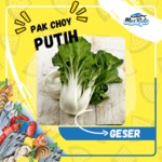 

Pak Choy Choi Putih Segar Bok Choy Choi Kwalits Premium Harga Murah