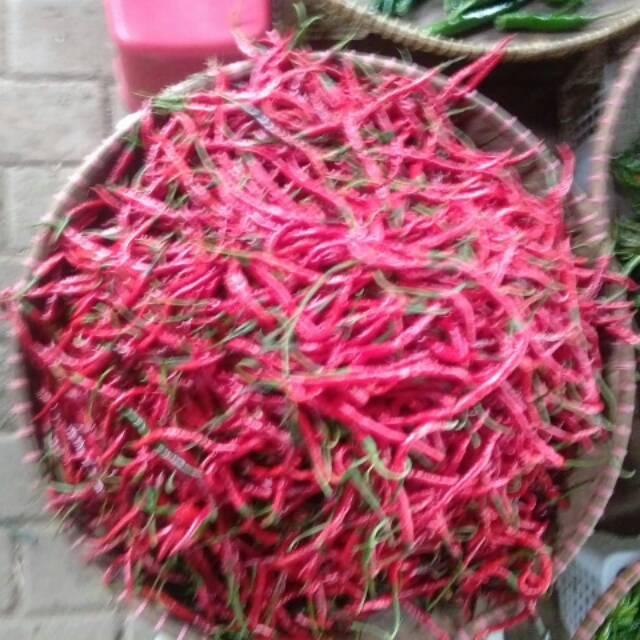 

cabe merah keriting 1kg