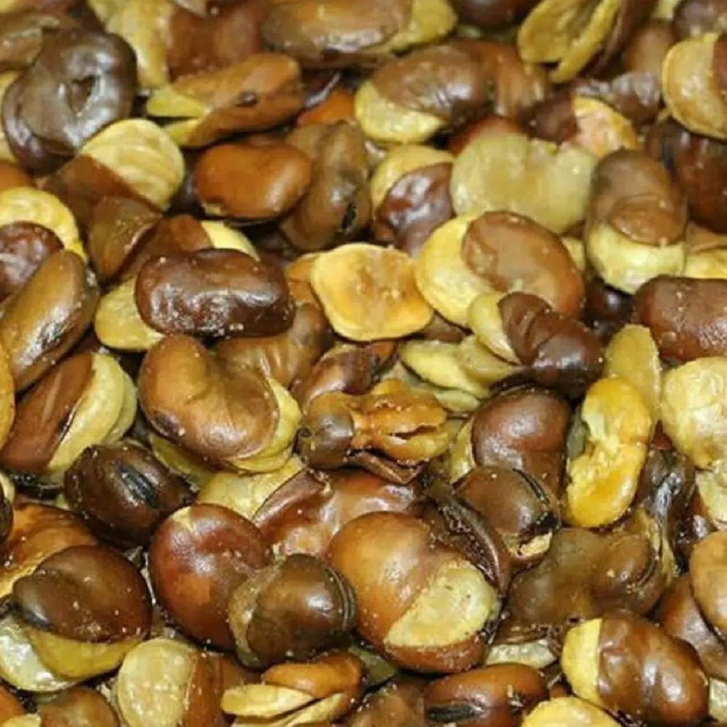 

Kacang Koro Kulit