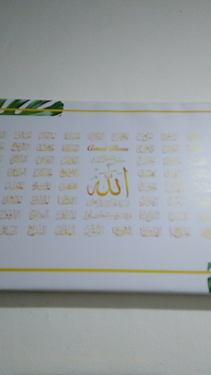 Asmaul Husna Putih Emas Monstera 1m