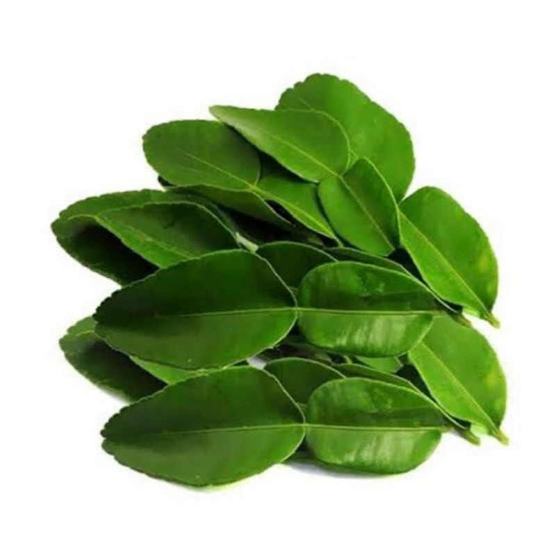 

Daun Jeruk Purut Segar 1gr Fresh Sayur Sayuran Bumbu Masak Rempah / Lime Leaves 1 gram