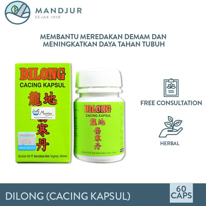 Dilong (Cacing Kapsul) - Ekstrak Cacing Terbaik Untuk Tipes