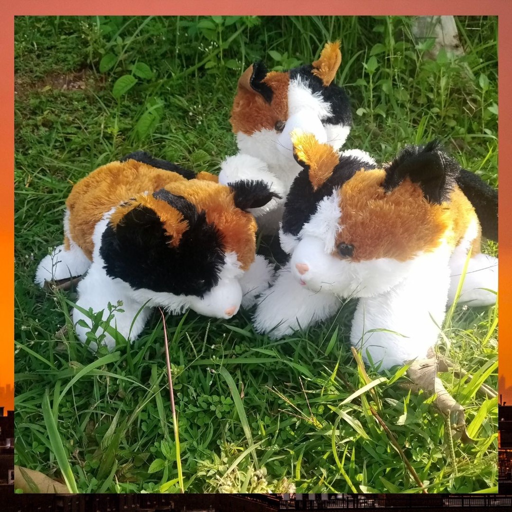 Boneka Kucing Esmeralda / Cat Esmeralda Belang Lucu Standar SNI