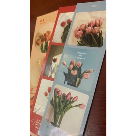 

Tulip_Stiker&Postcard