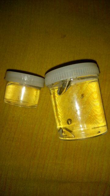 Botol Jar Pot Slime Produk Cream Skincare