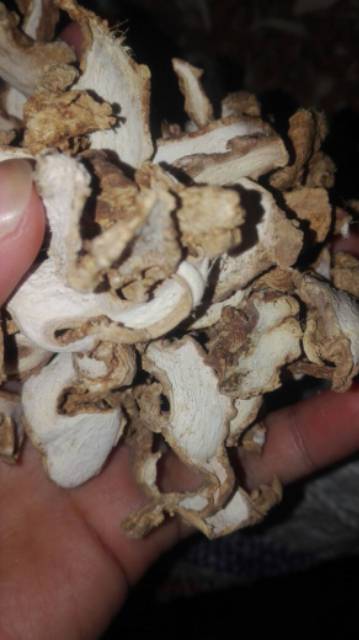 

Jahe emprit kering