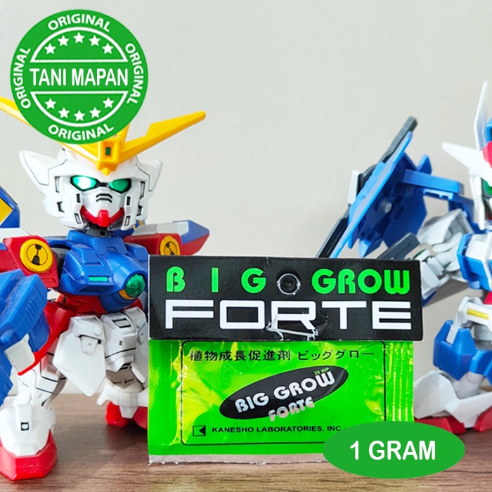 ZPT - BigGrow BIG GROW FORTE 1 gram - GA3 20% (Beli 200 bonus 1 kaos)