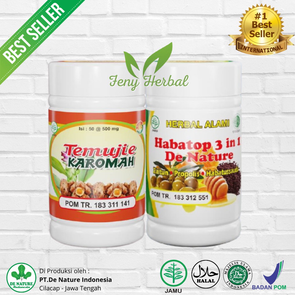 Obat Hepatitis Ampuh Temujie Habatop Asli