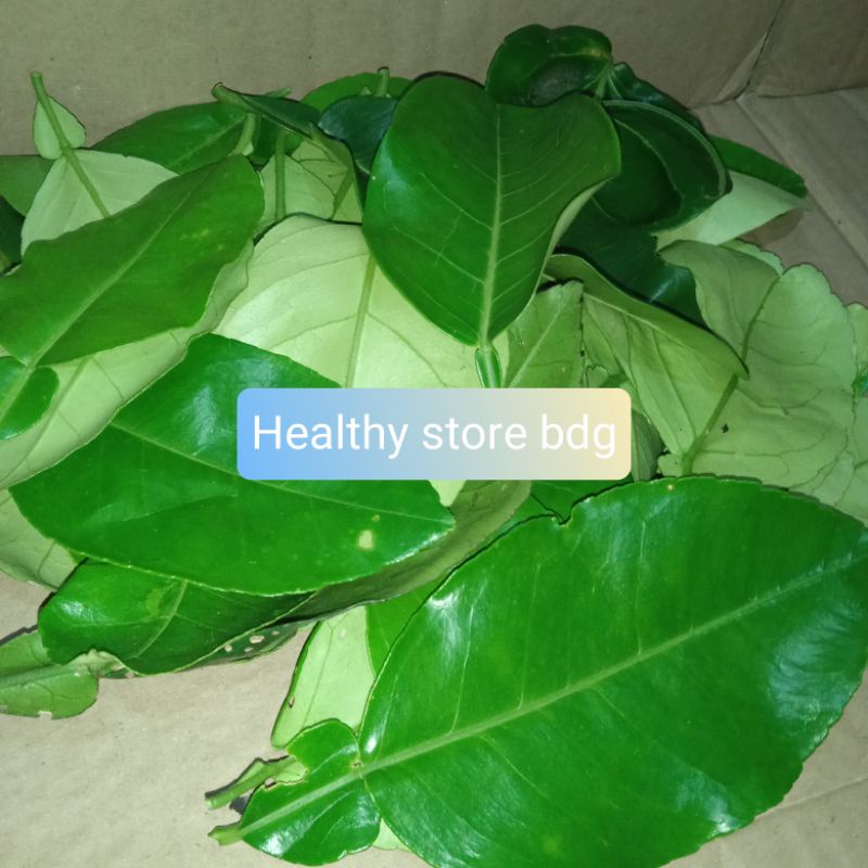 

Daun jeruk bali segar per 1 kg