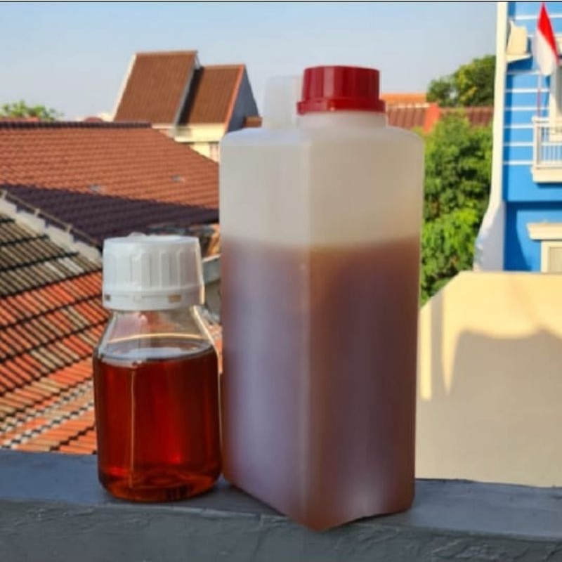 

Madu Hutan Kalimantan Isi Bersih 1kg