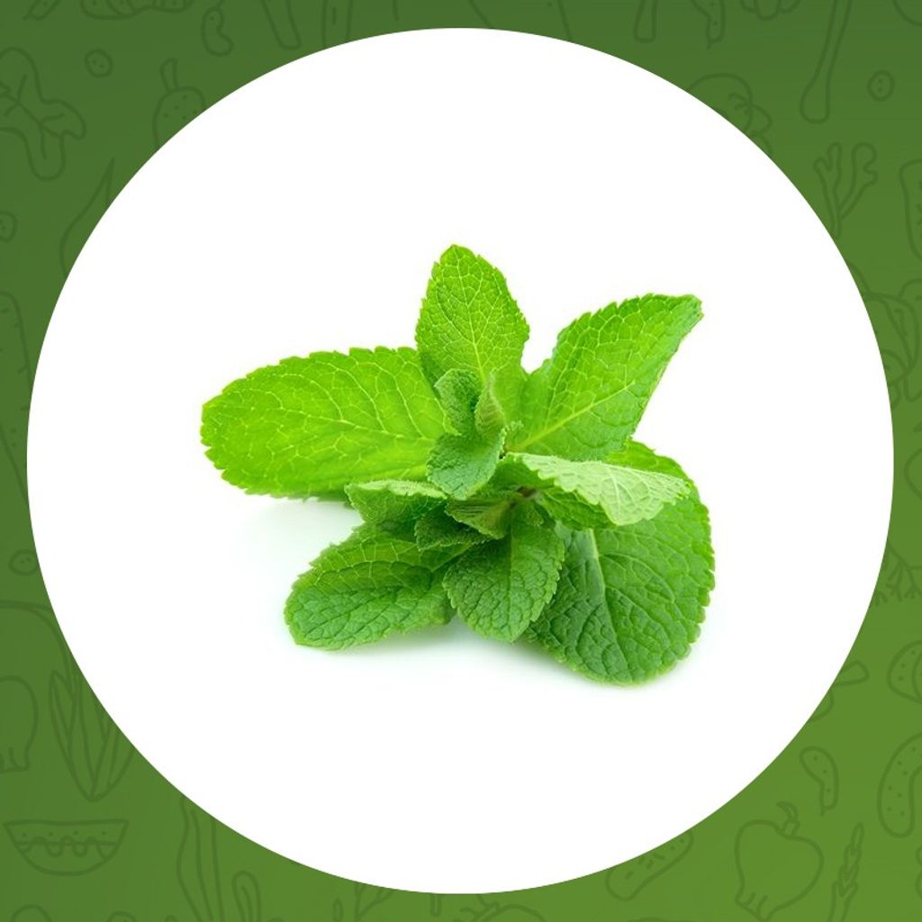 

DAUN MINT 100 gr
