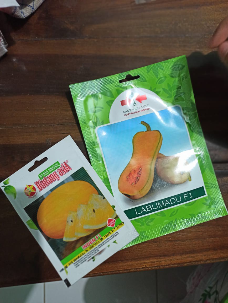 Benih Bibit Labu Madu Labu Madu F1 Isi(10btr)