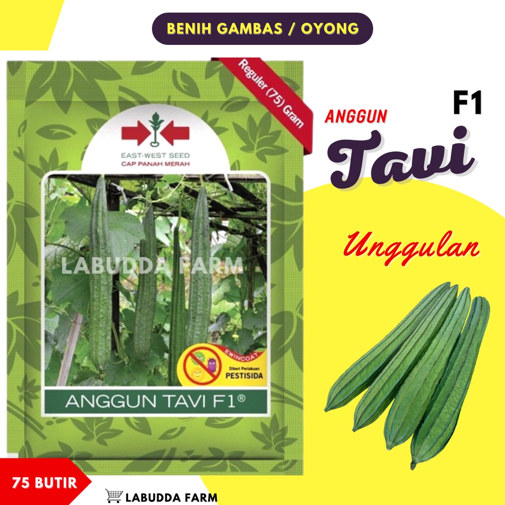 Benih Gambas ANGGUN TAVI F1 Isi 75 Butir - Bibit Gambas - Bibit Oyong - Tavi - Anggun Tavi F1 - Beni