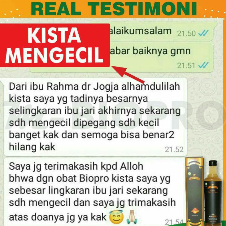 OBAT KISTA HERBAL l OBAT HERBAL KISTA l OBAT KISTA AMPUH l OBAT KISTA MANJUR l OBAT KISTA TERBAIK