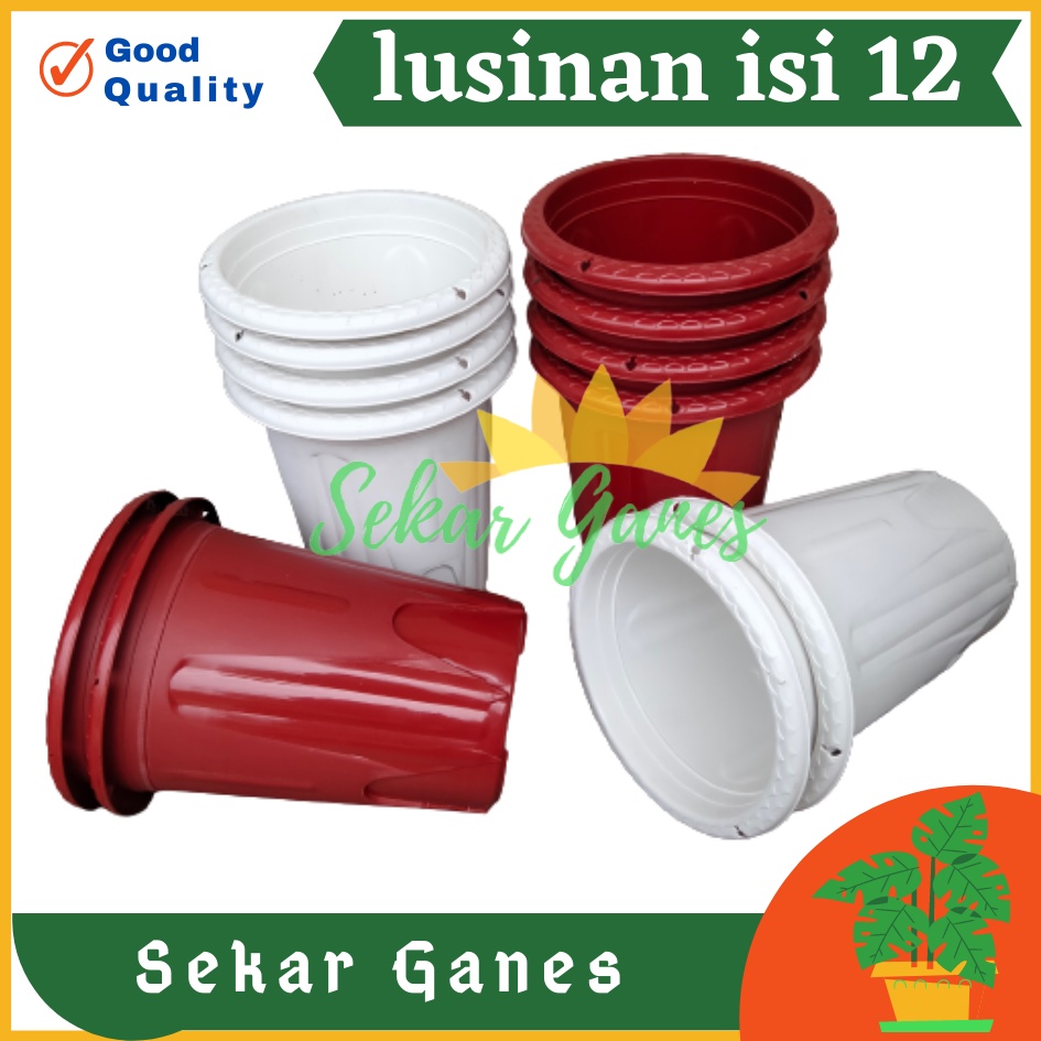 Lusinan 12pcs Pot Golden Erna 20 Putih Bening Transparan Hitam Merah Bata Merah Coklat Terracota Terracotta Mirip Lusinan 18 19 25 Murah Putih Coklat Merah Bata Bening Transparan Pot Yogap Murah Pot Bunga Tinggi Pirus Tegak Bagus Tebal