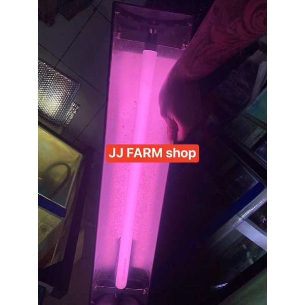 

lampu kontes view TFC 70CM lampu ikan show