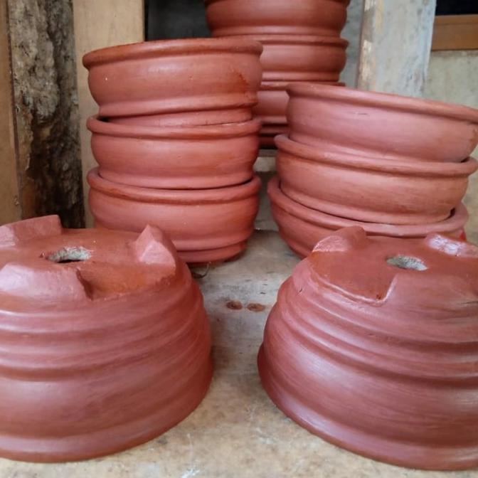 +++++] pot tanaman bonsai kelapa