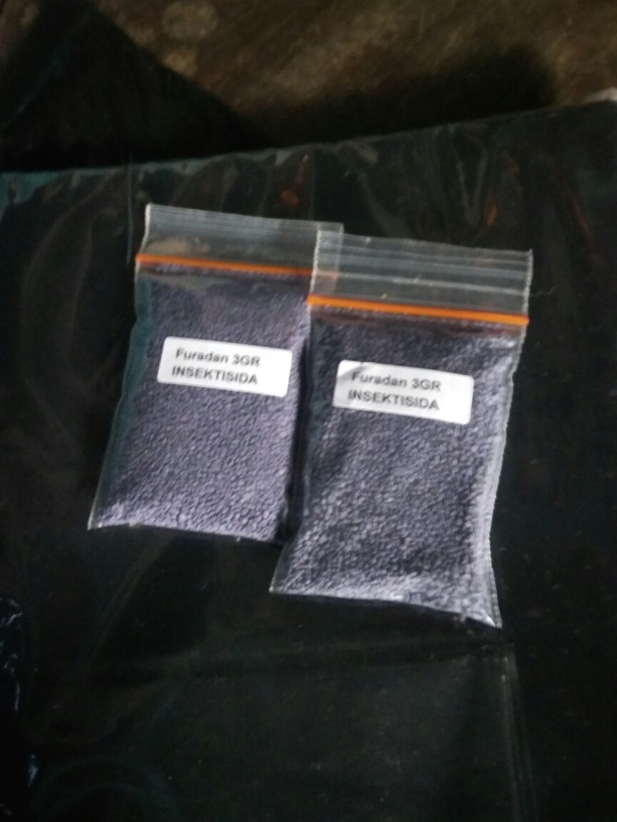 Insektisida Sistemik Furadan 3gr - Nematisida Pengendali Hama Tanaman Serangga, Cacing, Uret Dll