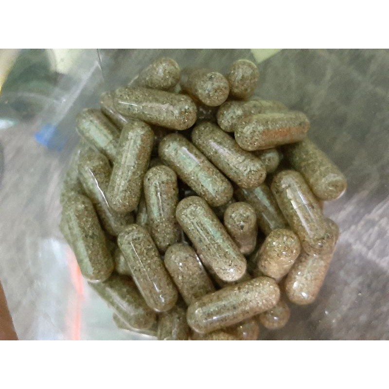 Telur Kutu Air Moina Macrocopa