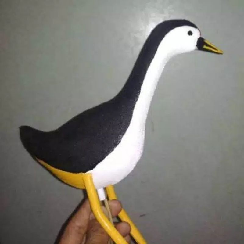 55 Koleksi Gambar Burung Dan Ayam Terbaik