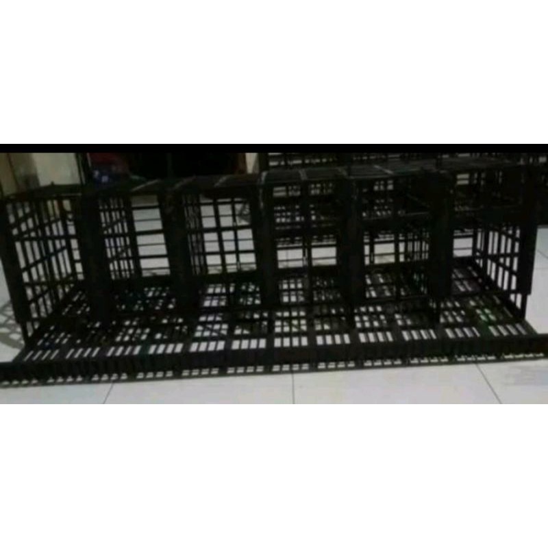 KANDANG AYAM petelur plastik 6 pintu kandang ayam murah