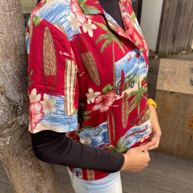 Hawaii Shirt