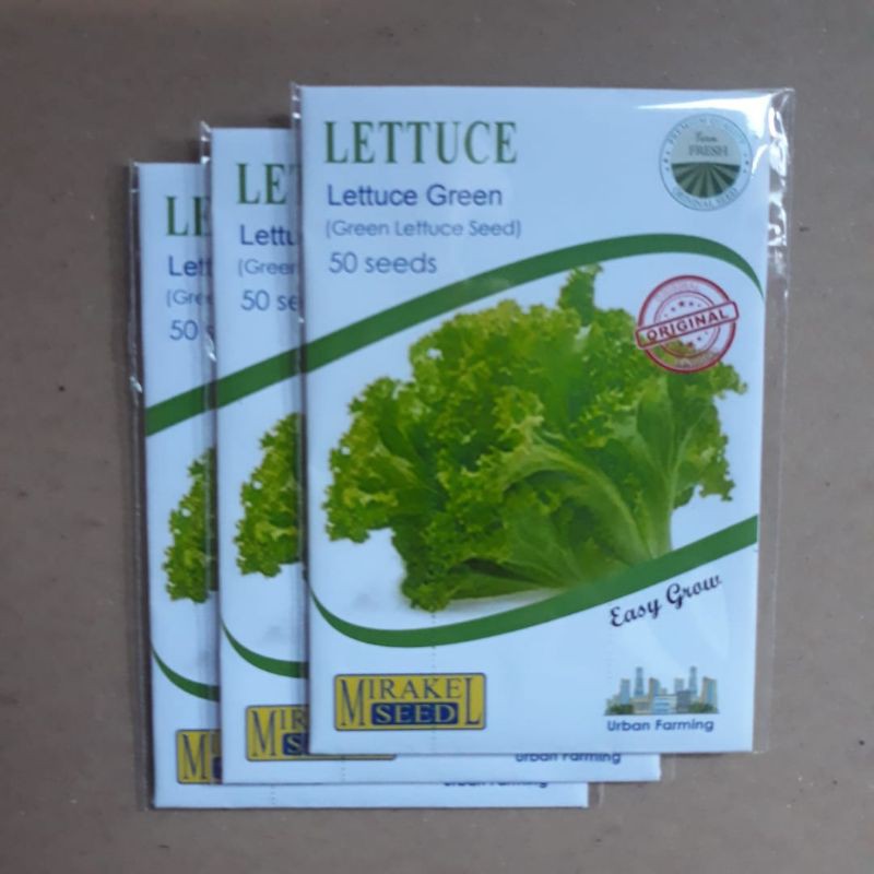 BENIH LETTUCE