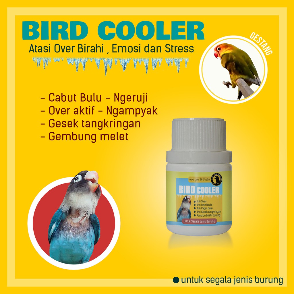 Bird Cooler Anti Over Birahi Cabut Bulu dan Burung Stres Lovebird Kenari Murai batu Kacer