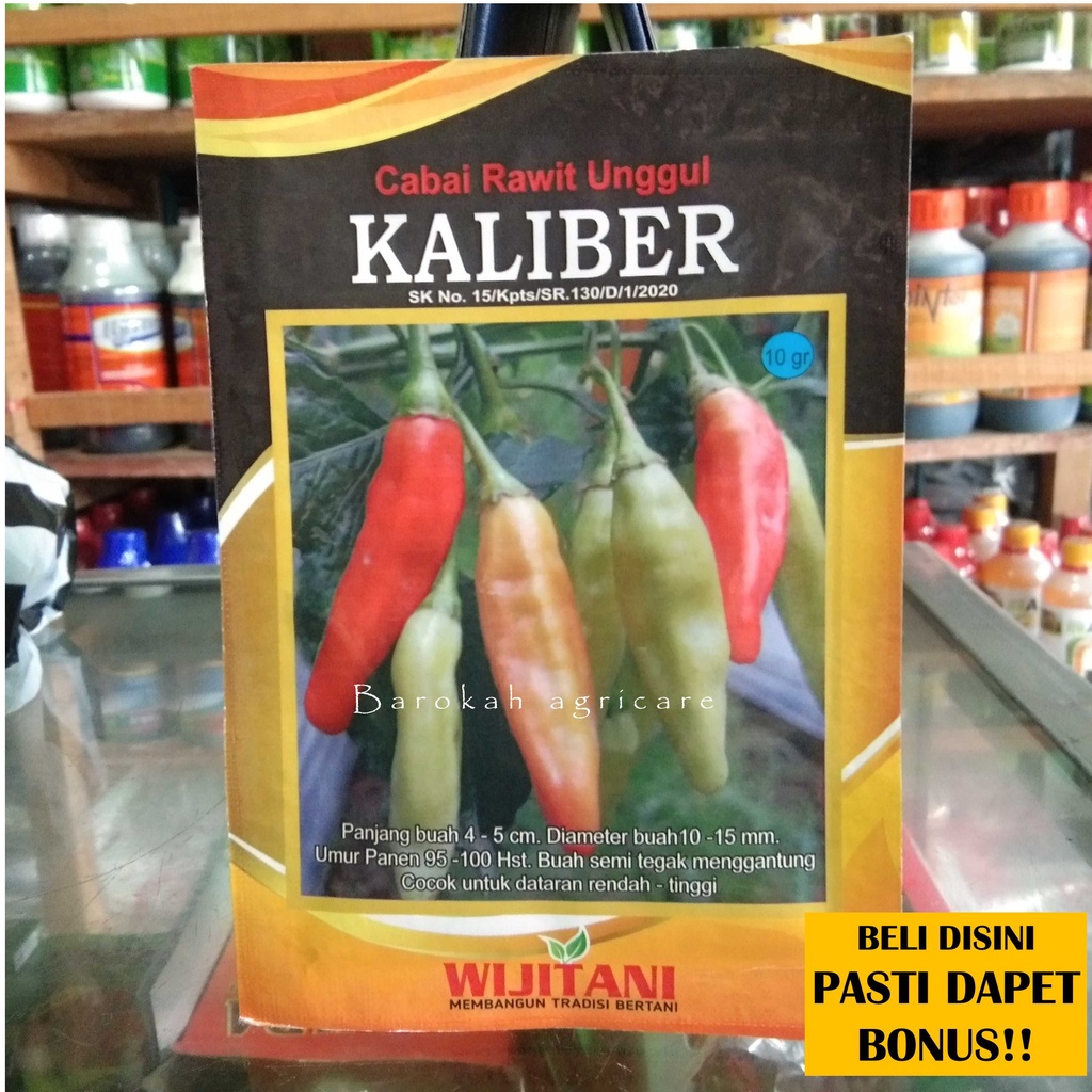Benih Cabe Rawit KALIBER 10 gram jaminan ori dan lagi viral