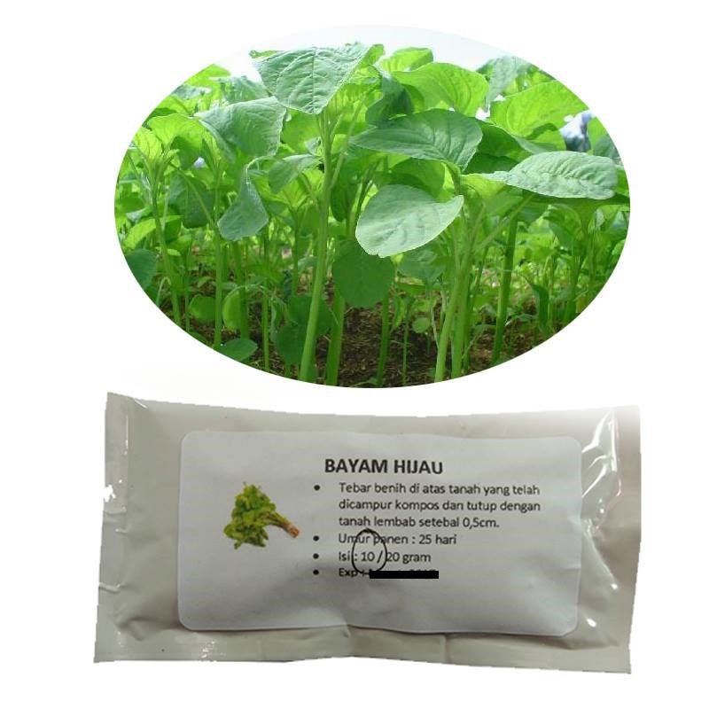 

Bayam Hijau – 10gram