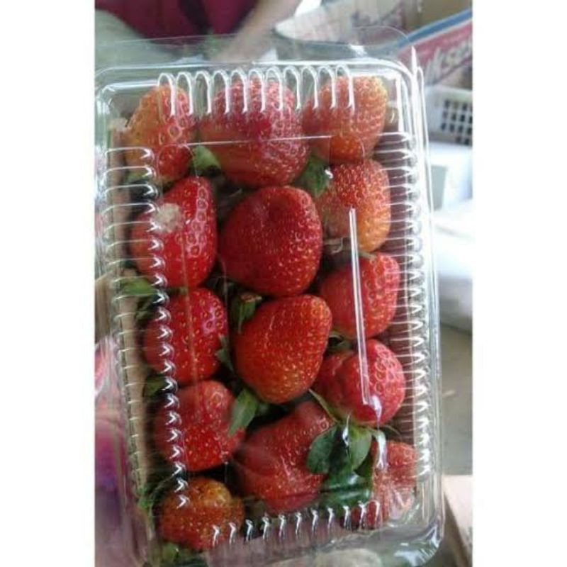 buah strawberry organik