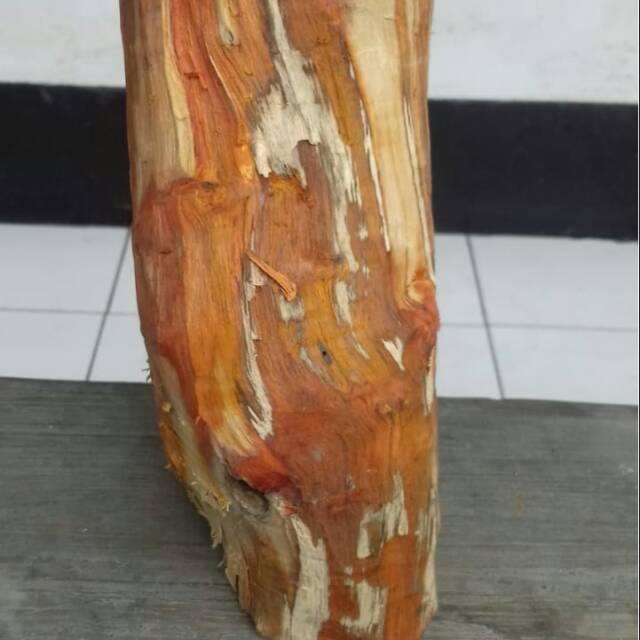 

Kayu secang