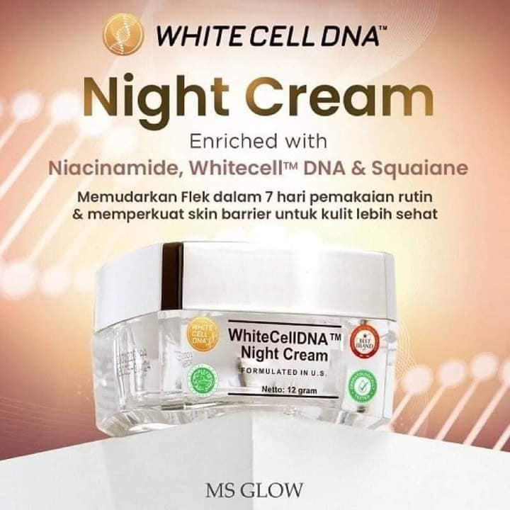 [READY] MS GLOW Night Cream White Cell DNA - Krim Malam DNA White Cell - Night Cream MS Glow BPOM - 