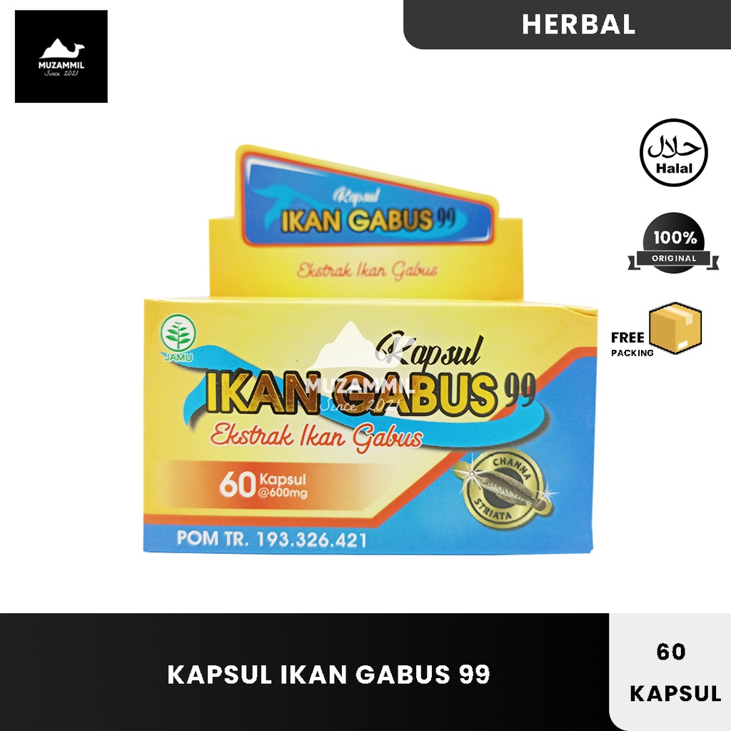 Kapsul Ikan Gabus Albumin Ekstrak Ikan Gabus 99