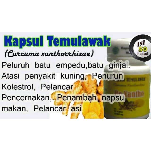 

KAPSUL TEMULAWAK