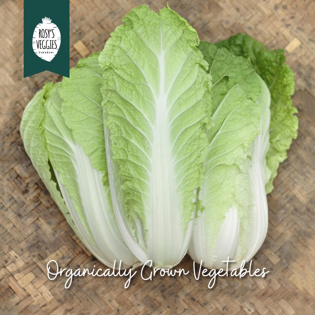 

Sawi Putih Organik | 500 gr