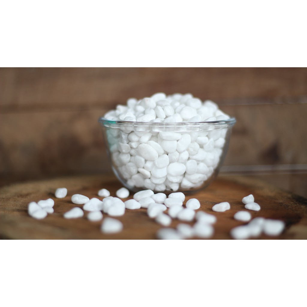 Batu Hias Putih Batu Coral Batu Hias Tanaman Kaktus White Coral Italy Dekorasi Taman Media Tanam PUT