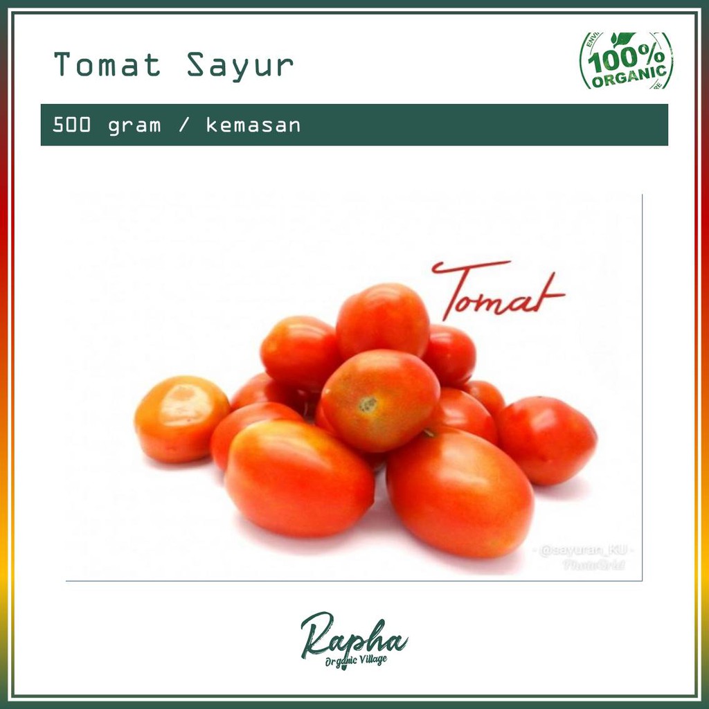 

Tomat Sayur Organik