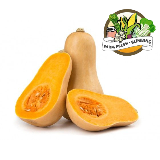 

Labu Butternut (pcs) (0.8-1kg)