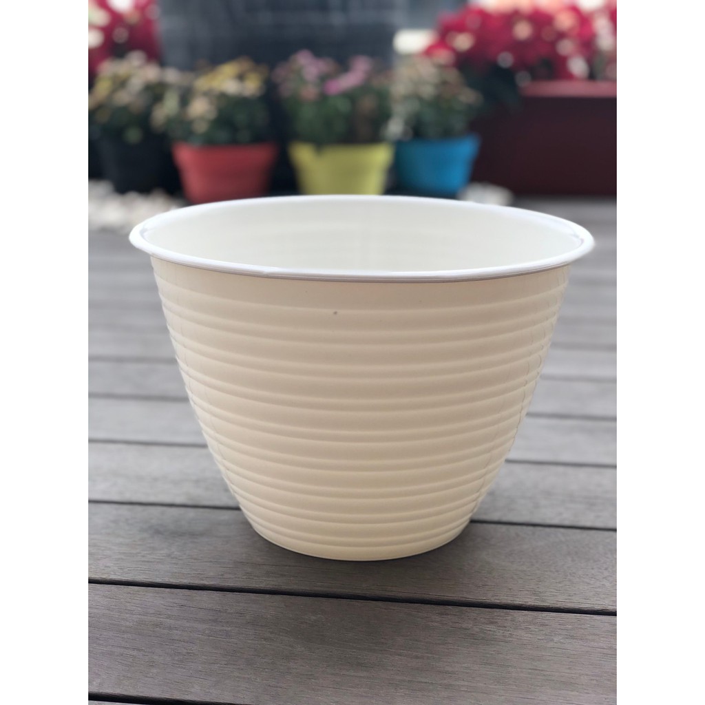  Pot  bunga tawon  plastik 30 cm putih Shopee Indonesia