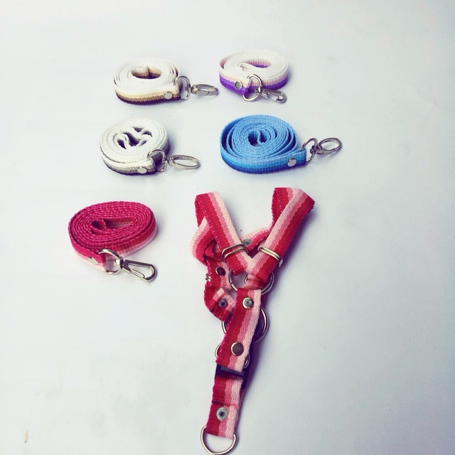 Tali harnes Y kucing kelinci anjing ras kecil