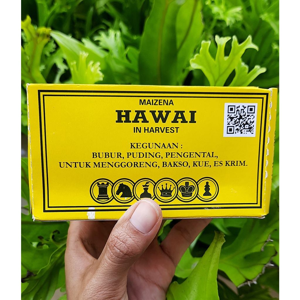 

S3096 Hawai Tepung Maizena 200g