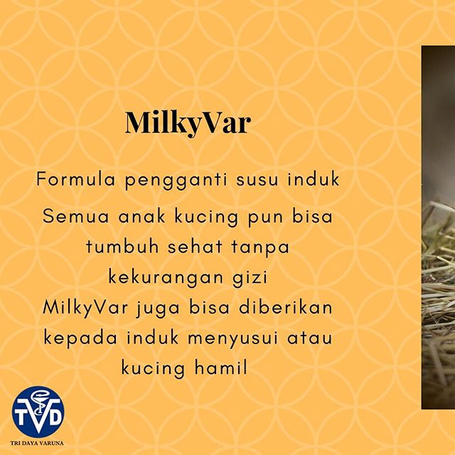 

MILKYVAR Susu Kucing Kitten MILK REPLACER 10 Sachet x 20g