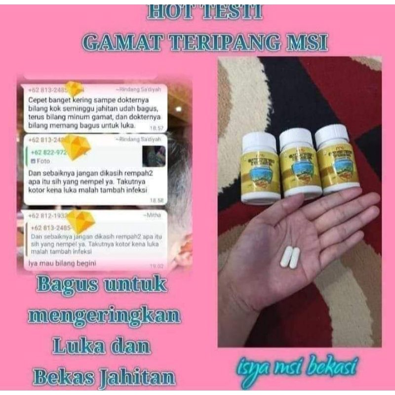 MURHA ORI GAMAT EMAS MAHKOTA MSI